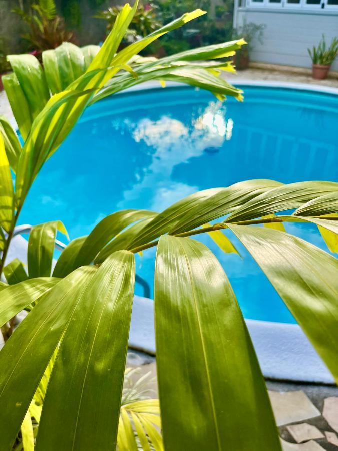 Tiaki Guesthouse - Cozy Modern Studio - 5Min Drive From The Beach And Punaauia Center 외부 사진